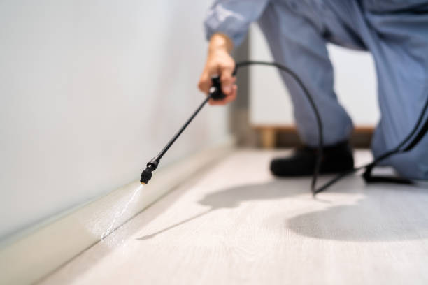 Licensed Pest Control service in Brownsville, PA - Show Me Pest Control