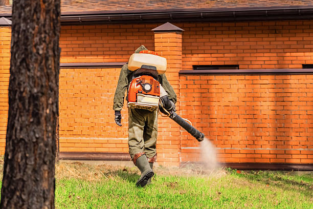 Top rated local Wasp Removal specialists in Brownsville, PA